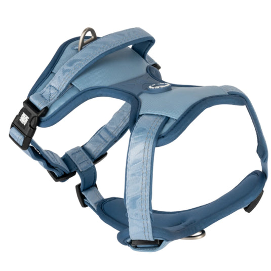 Max & Molly Matrix 2.0 GOTCHA! Smart ID Sport Harness